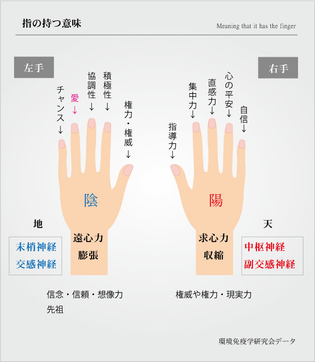 意味 指輪 右手 薬指 指輪を右手の薬指にする意味って本当は何か知ってる？